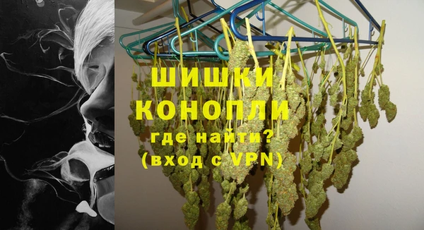 трава Белокуриха