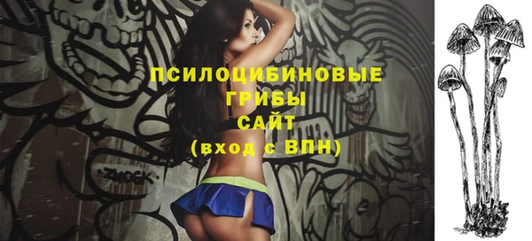 трава Белокуриха