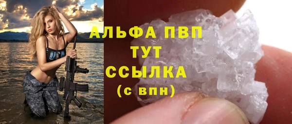 трава Белокуриха